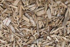biomass boilers Rusthall